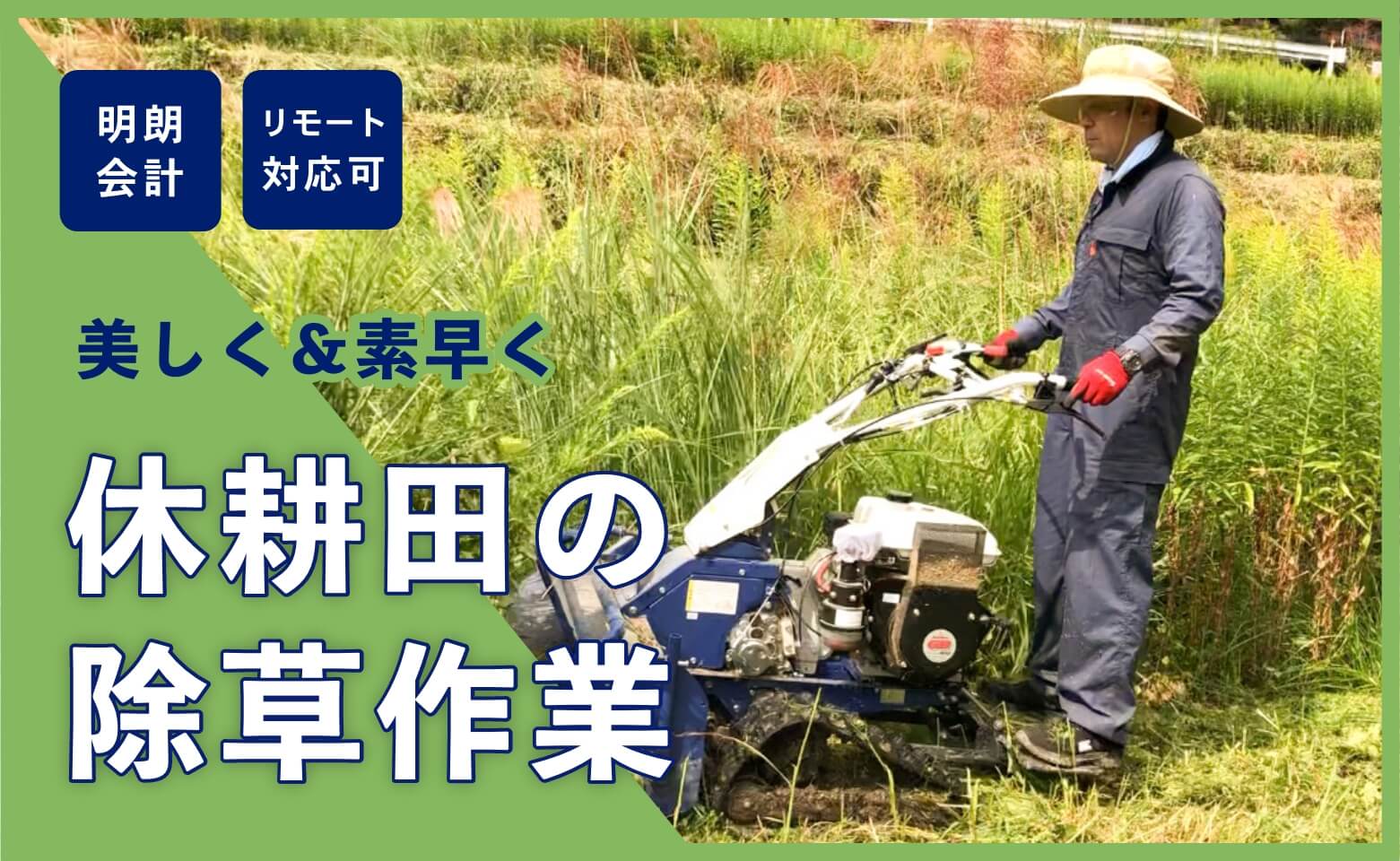 休耕田の除草作業